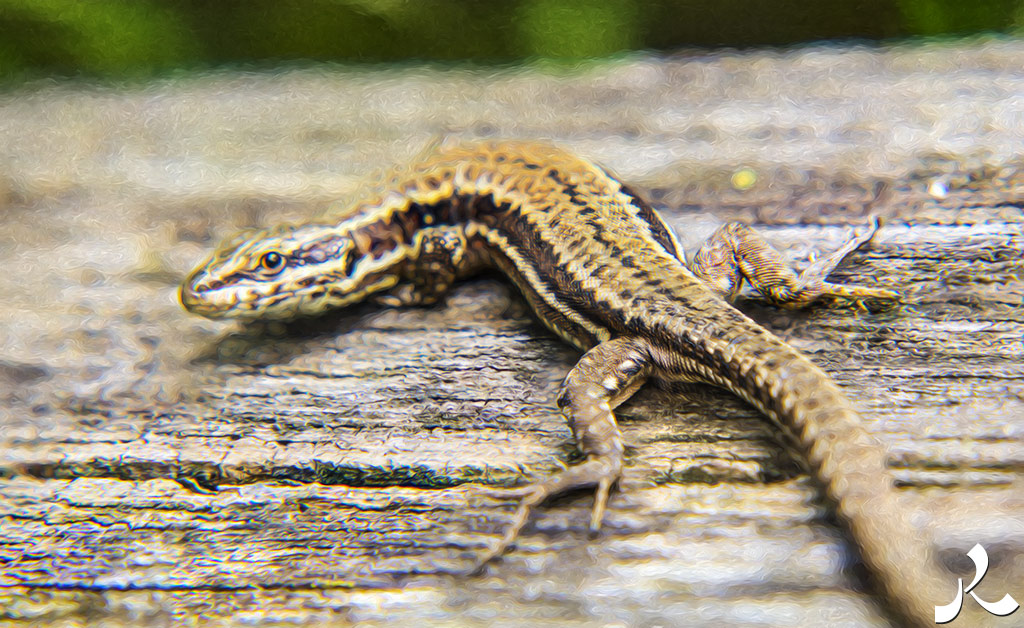 Des images et des maux…