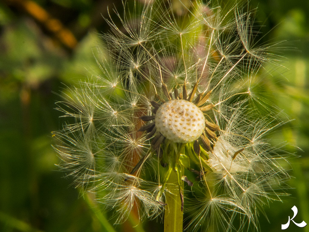 Des images et des maux…