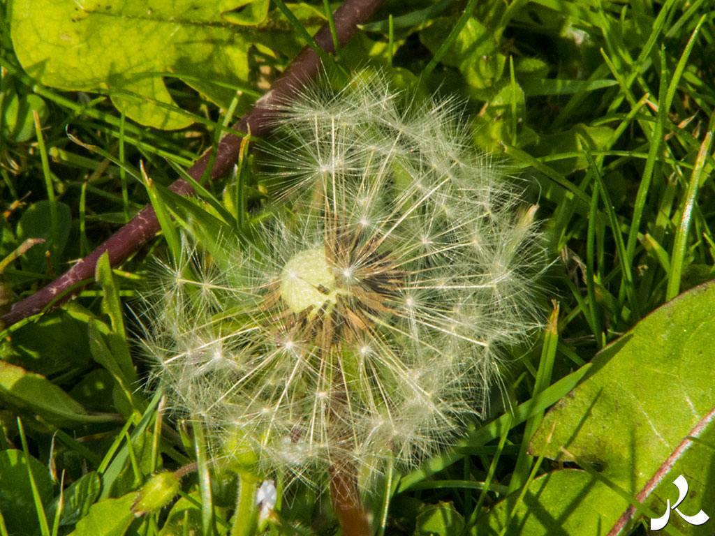 Des images et des maux…