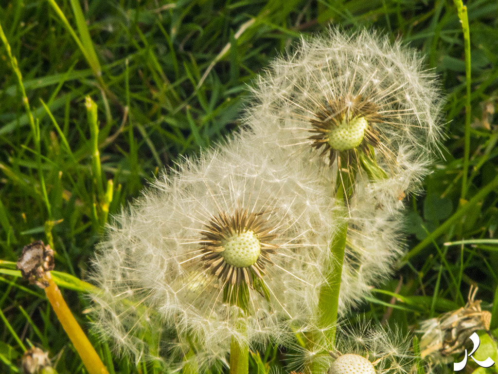 Des images et des maux…