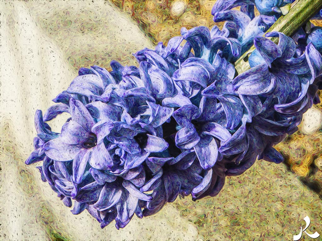 Des images et des maux…