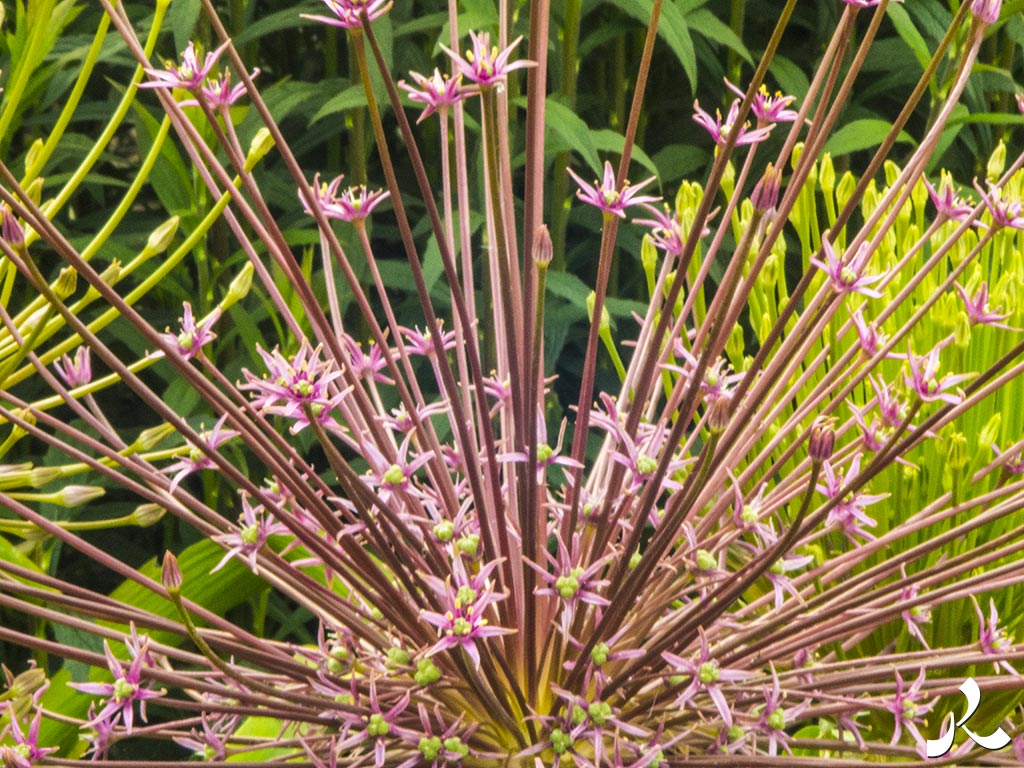 Des images et des maux…