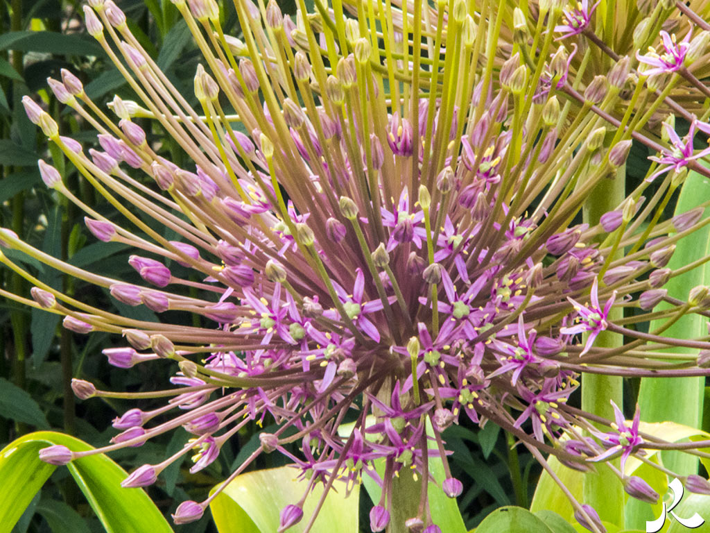 acrostiche sur CROIRE 2