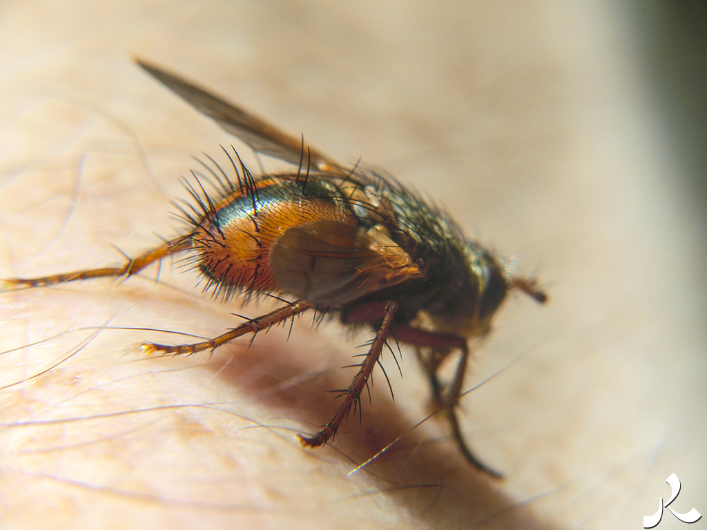 Des images et des maux…