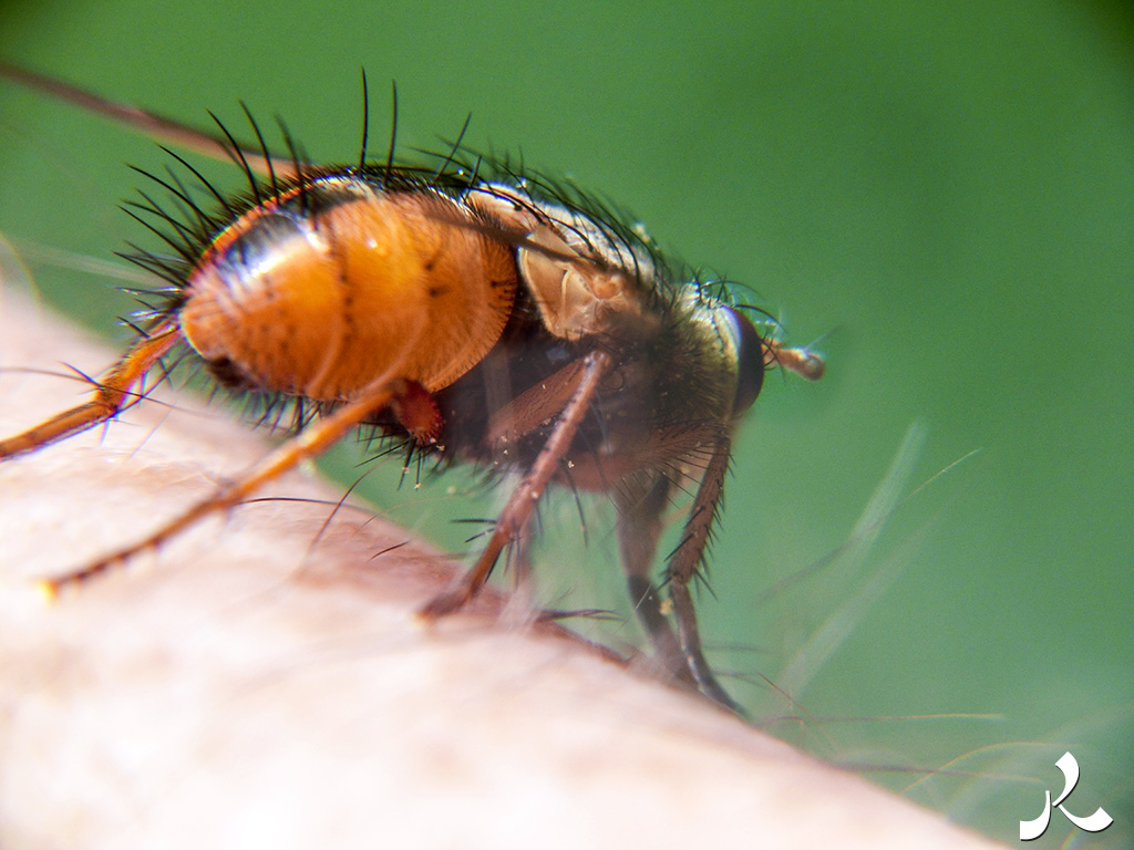 Des images et des maux…