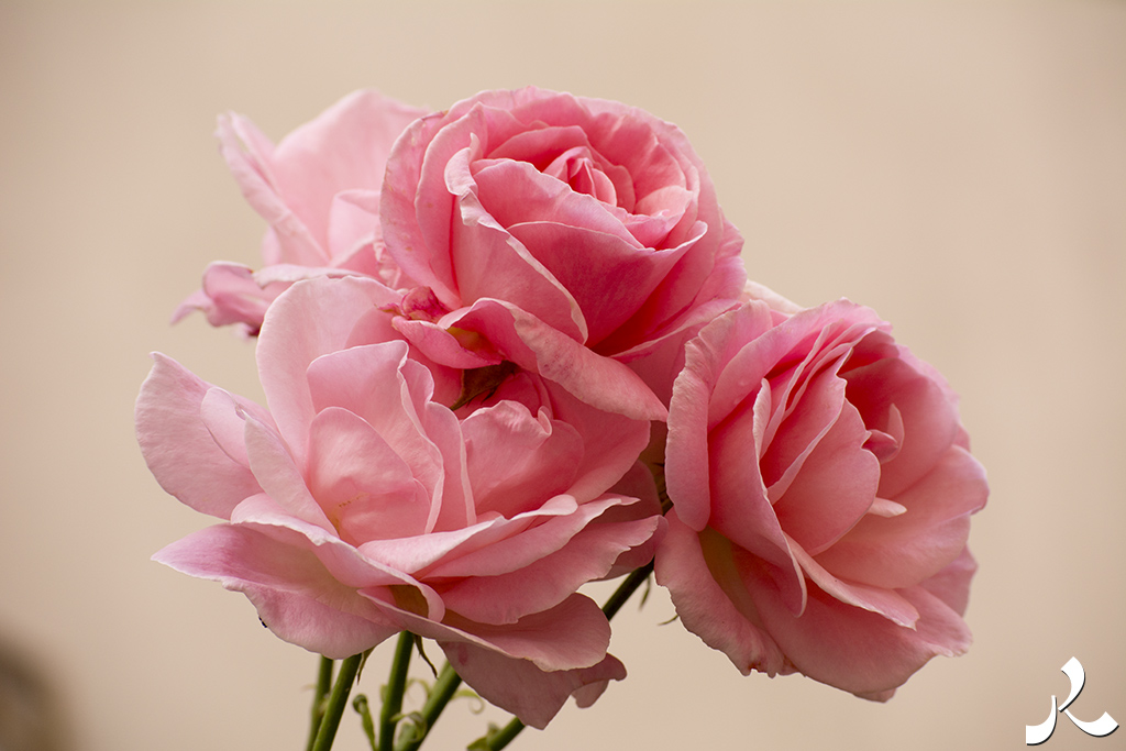 Des images et des maux…