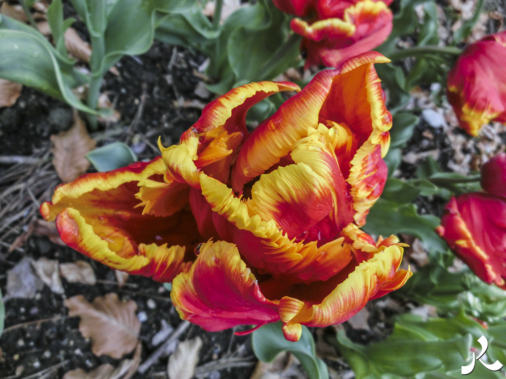 acrostiche sur CROIRE 2