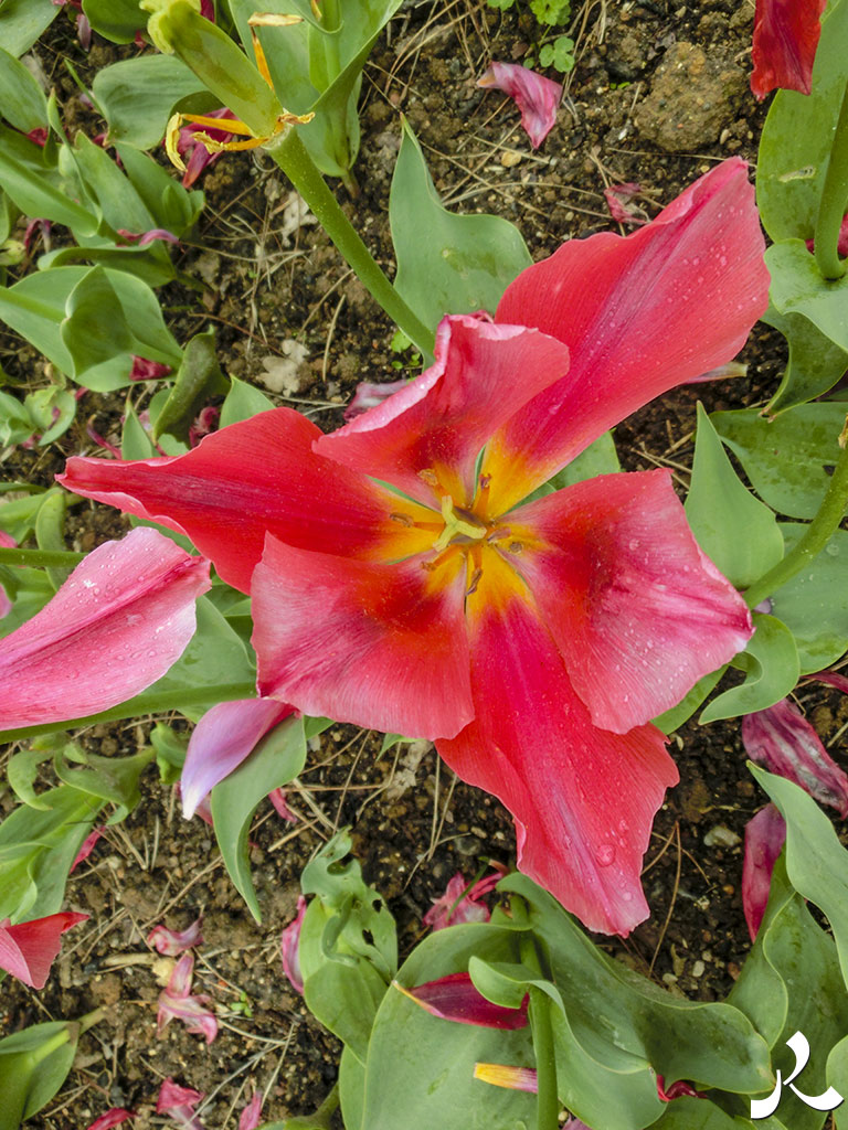 acrostiche sur ASSEZ 3