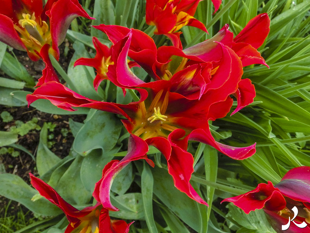 acrostiche sur CROIRE 1