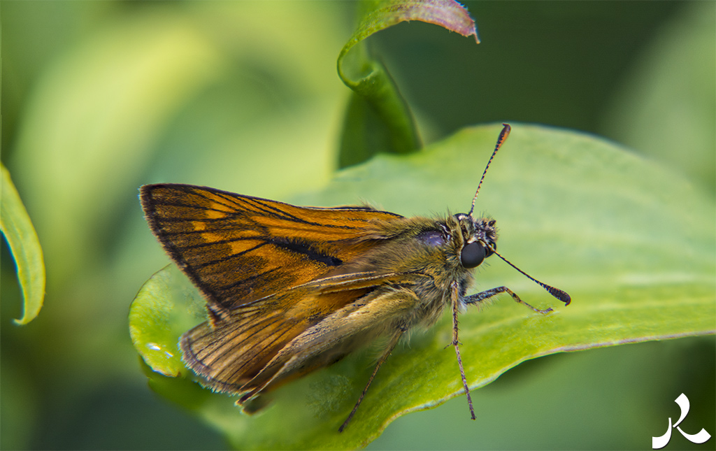 Des images et des maux…