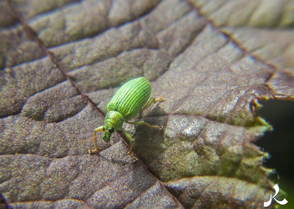 Des images et des maux…