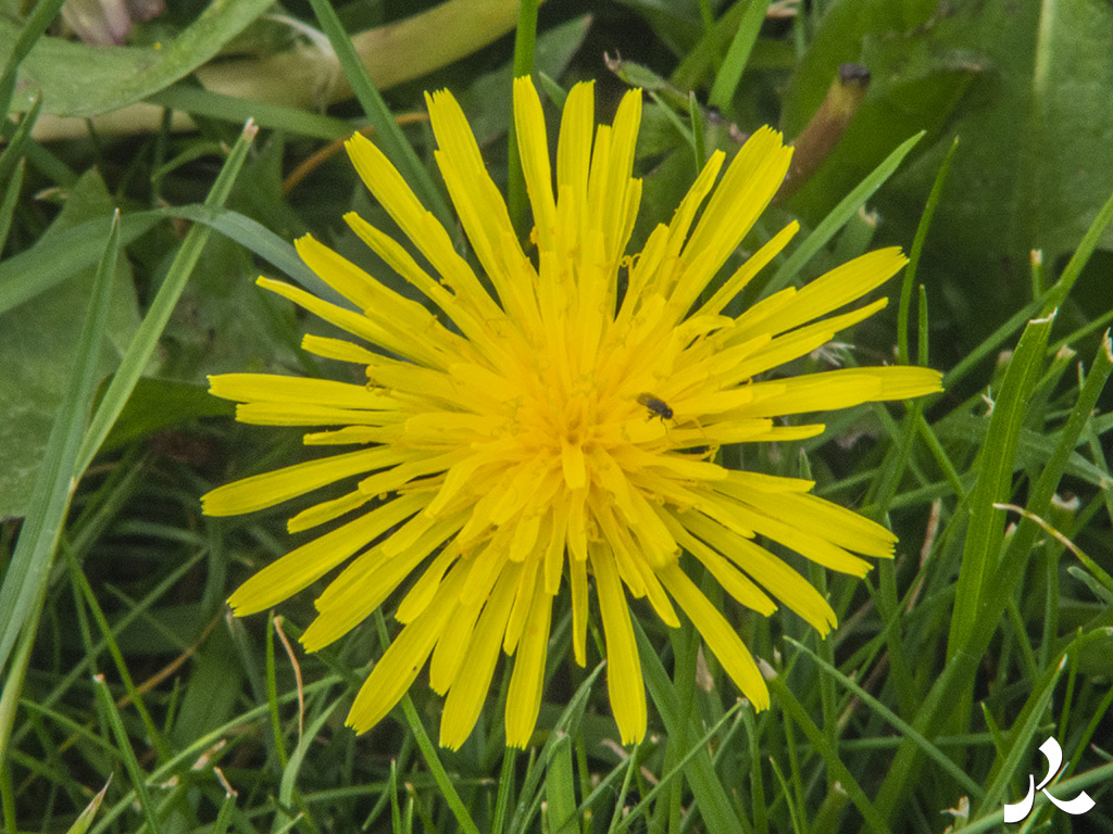 Des images et des maux…