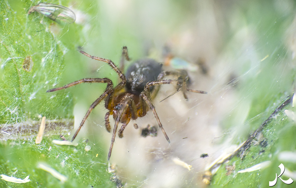 acrostiche sur PORTE 3