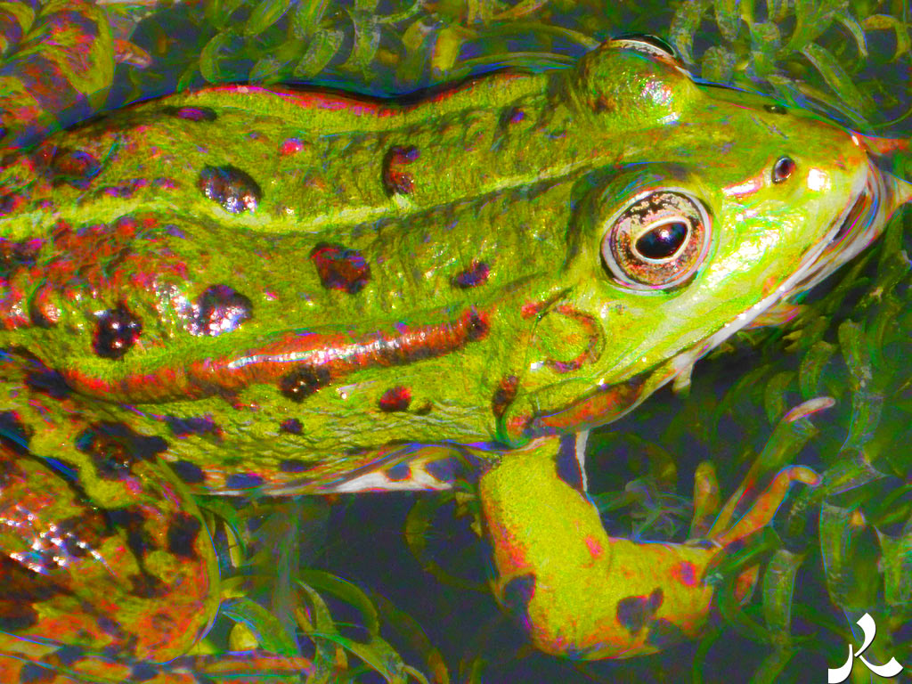 acrostiche sur CROIRE 1