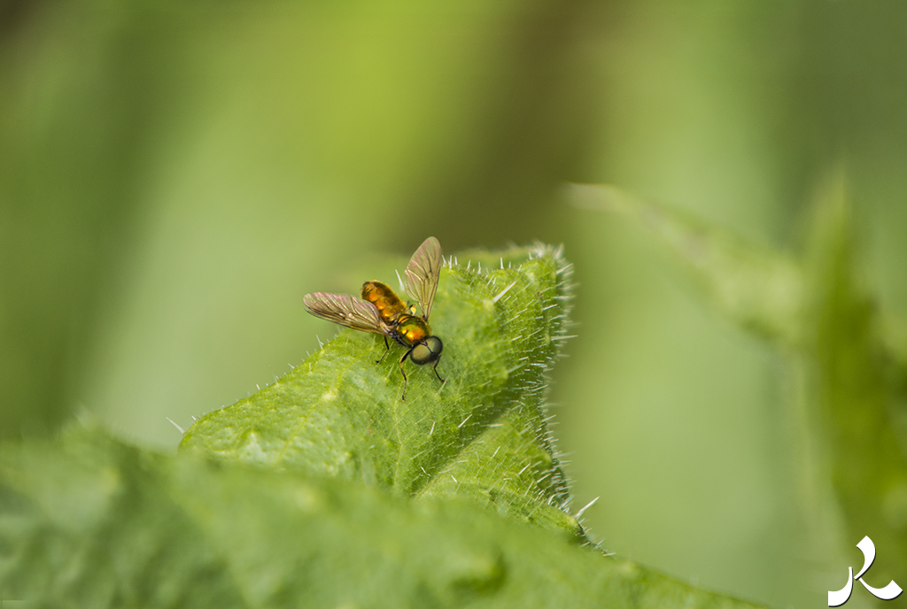 Des images et des maux…
