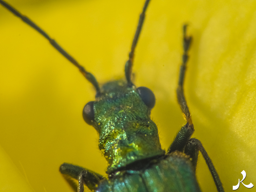 Des images et des maux…