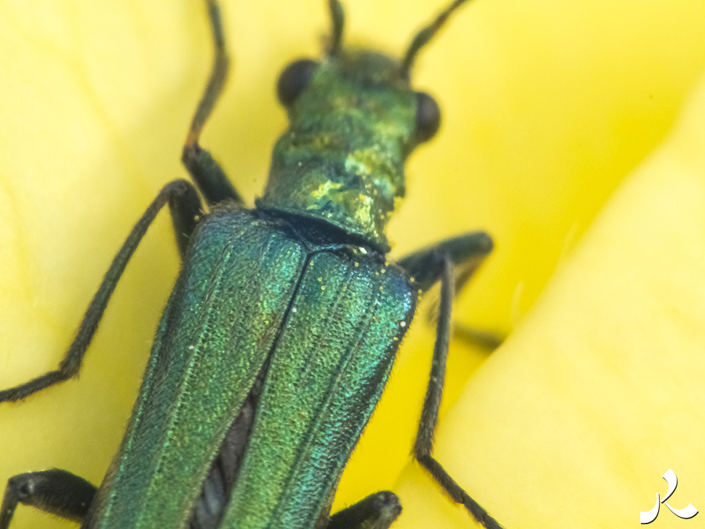 Des images et des maux…