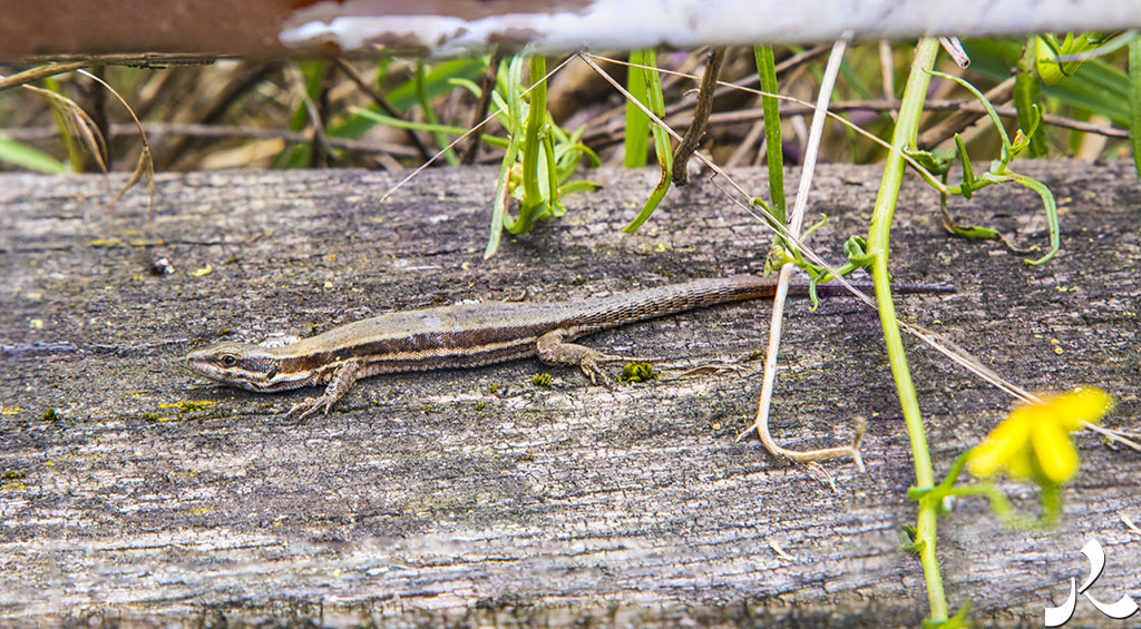 acrostiche sur CROIRE 3