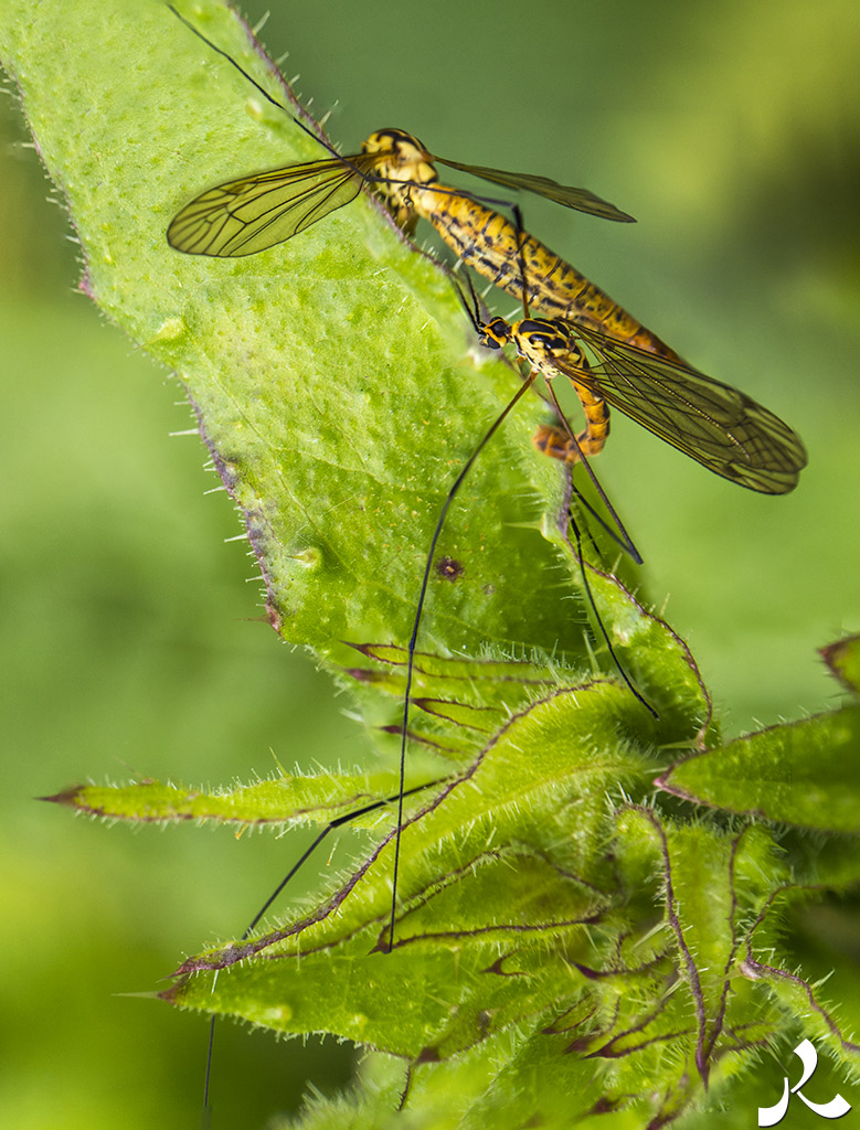 Des images et des maux…