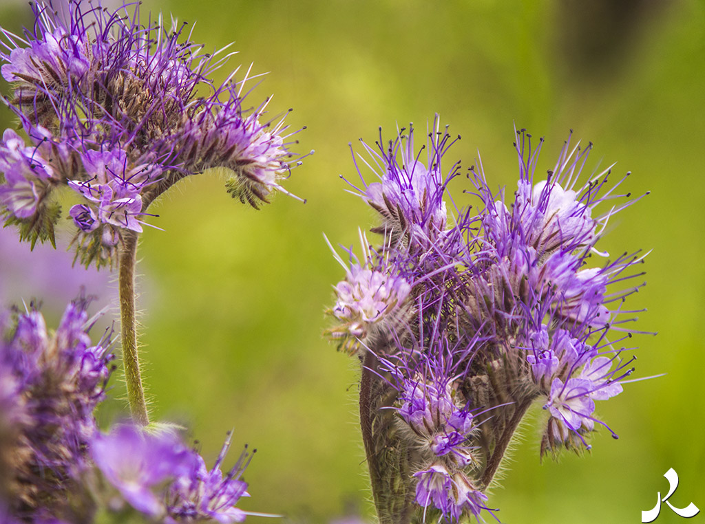 Des images et des maux…