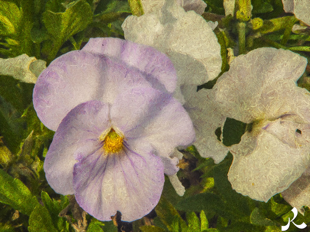 Des images et des maux…