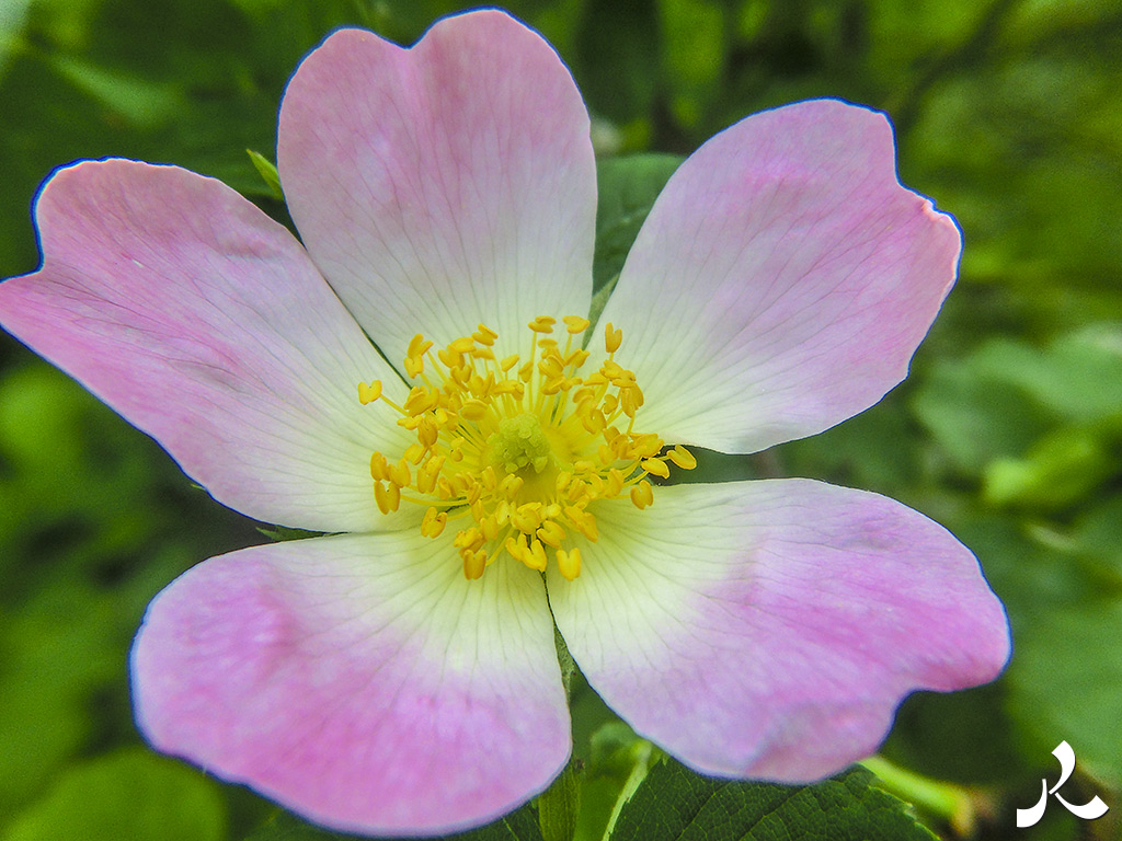 Des images et des maux…