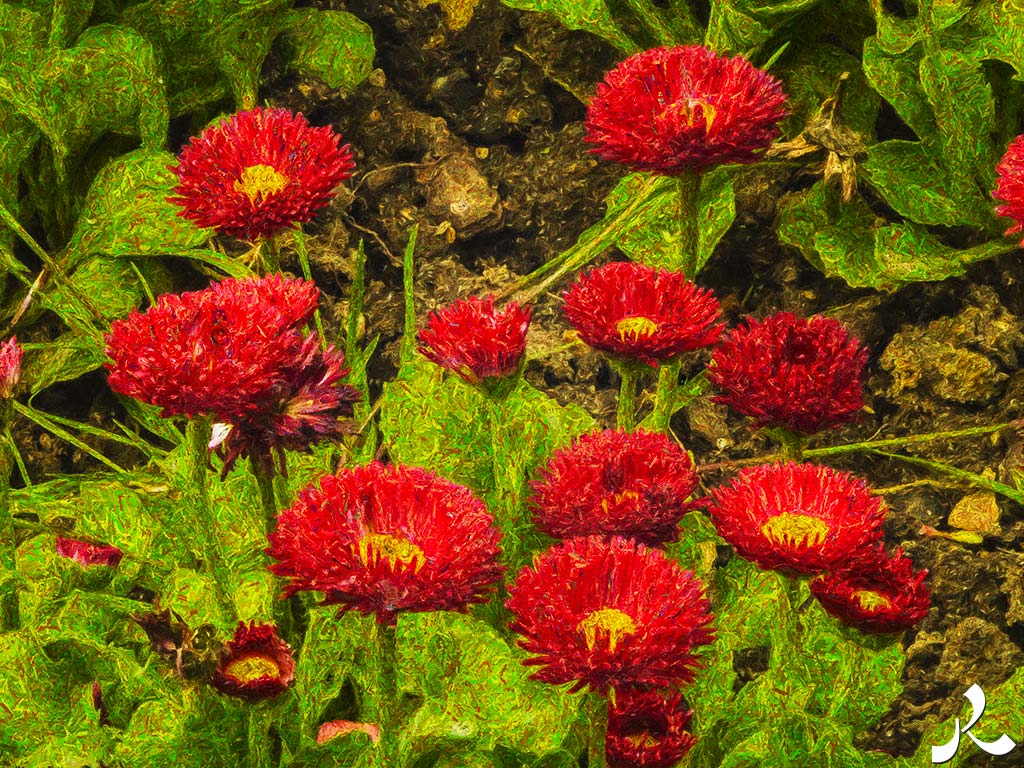 acrostiche sur TROP 3