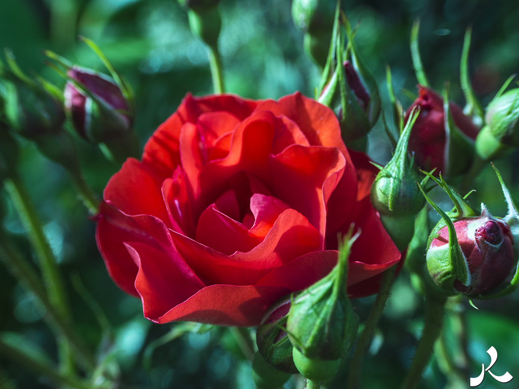 Courrire = courir + rire