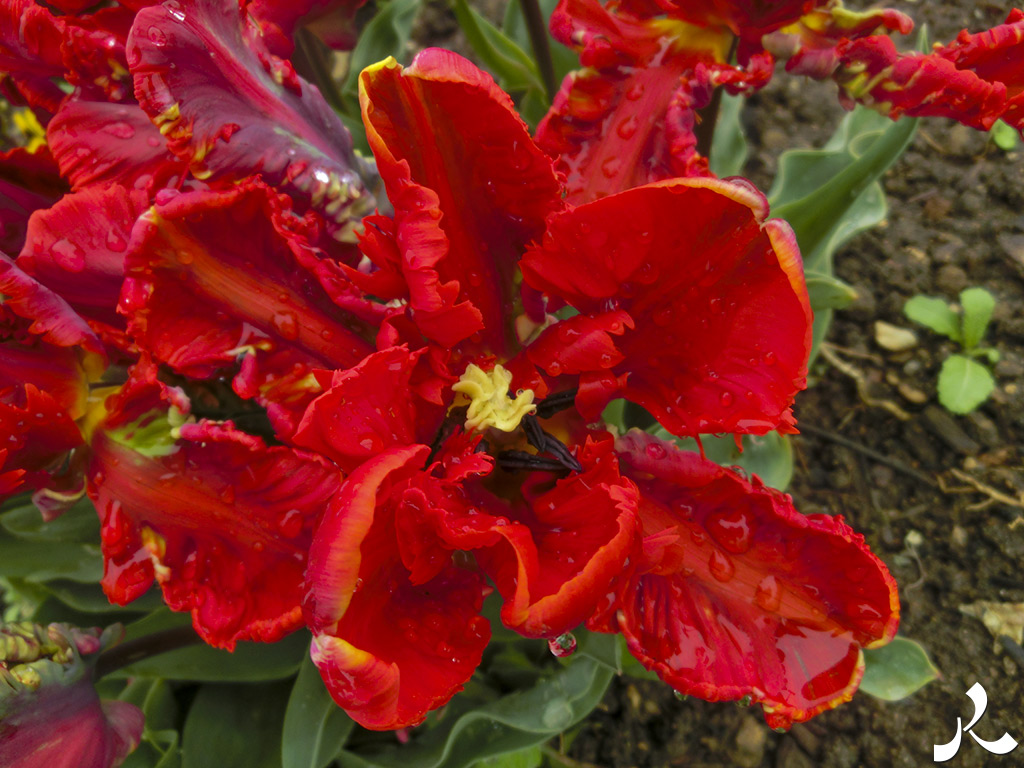 Des images et des maux…