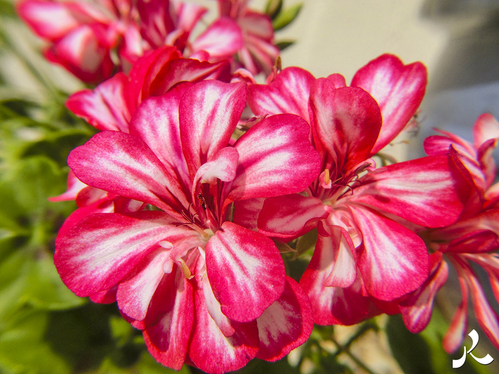 acrostiche sur CROIRE 2