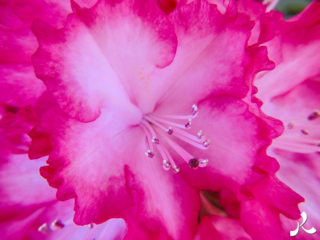 Des images et des maux…