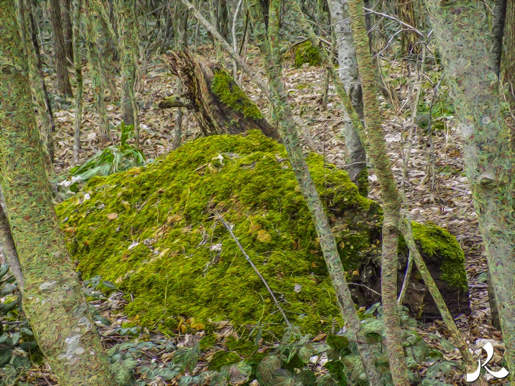 Des images et des maux…