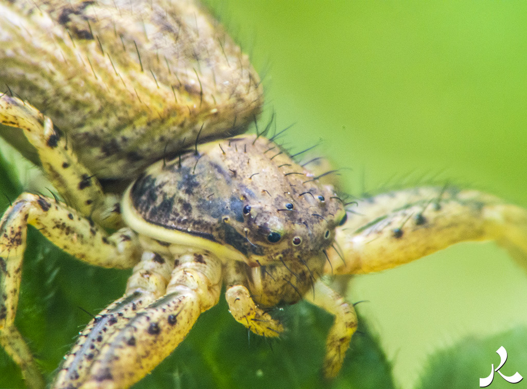 acrostiche sur CROIRE 1