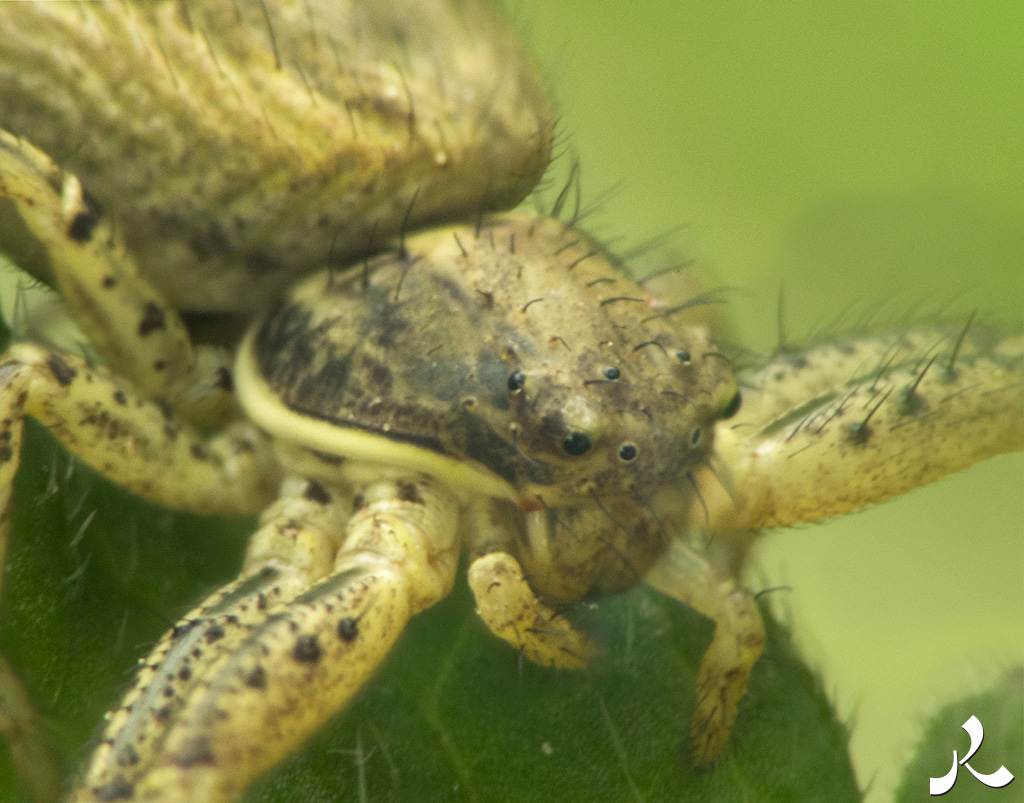 Des images et des maux…