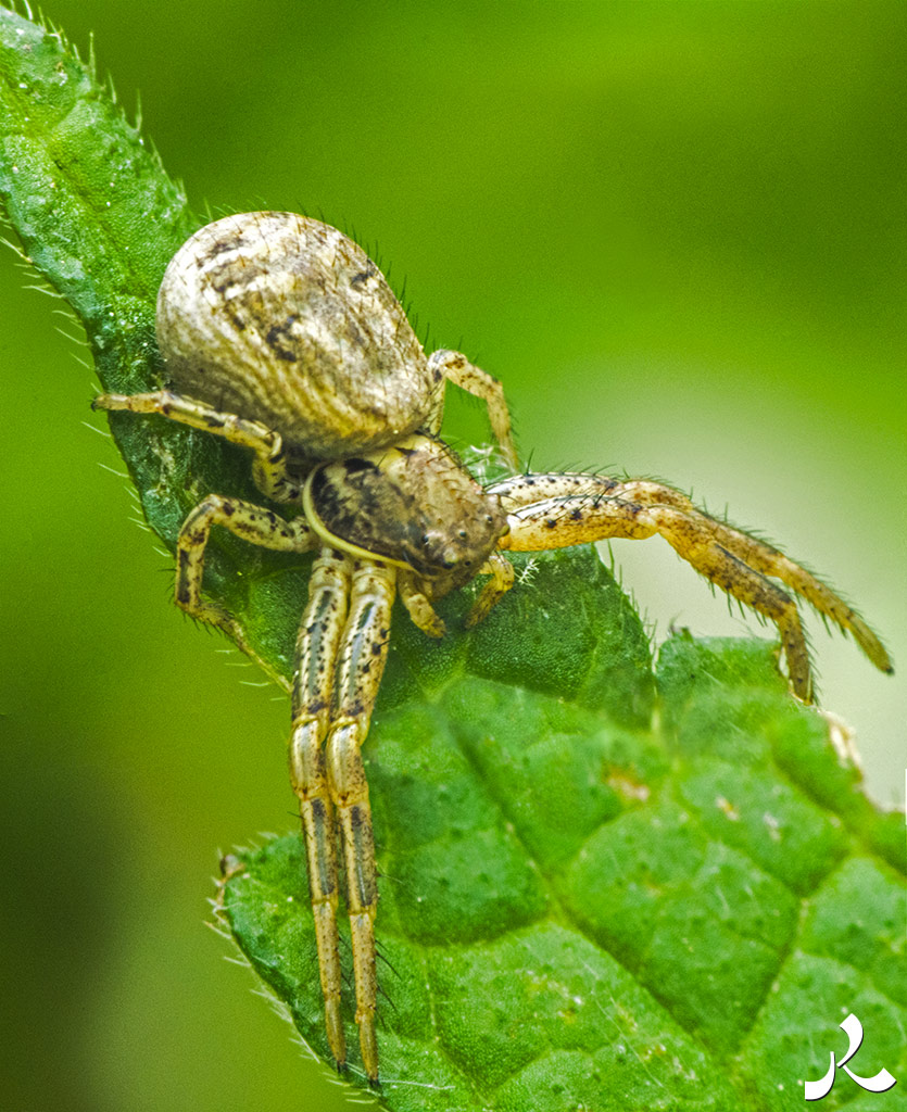 Des images et des maux…