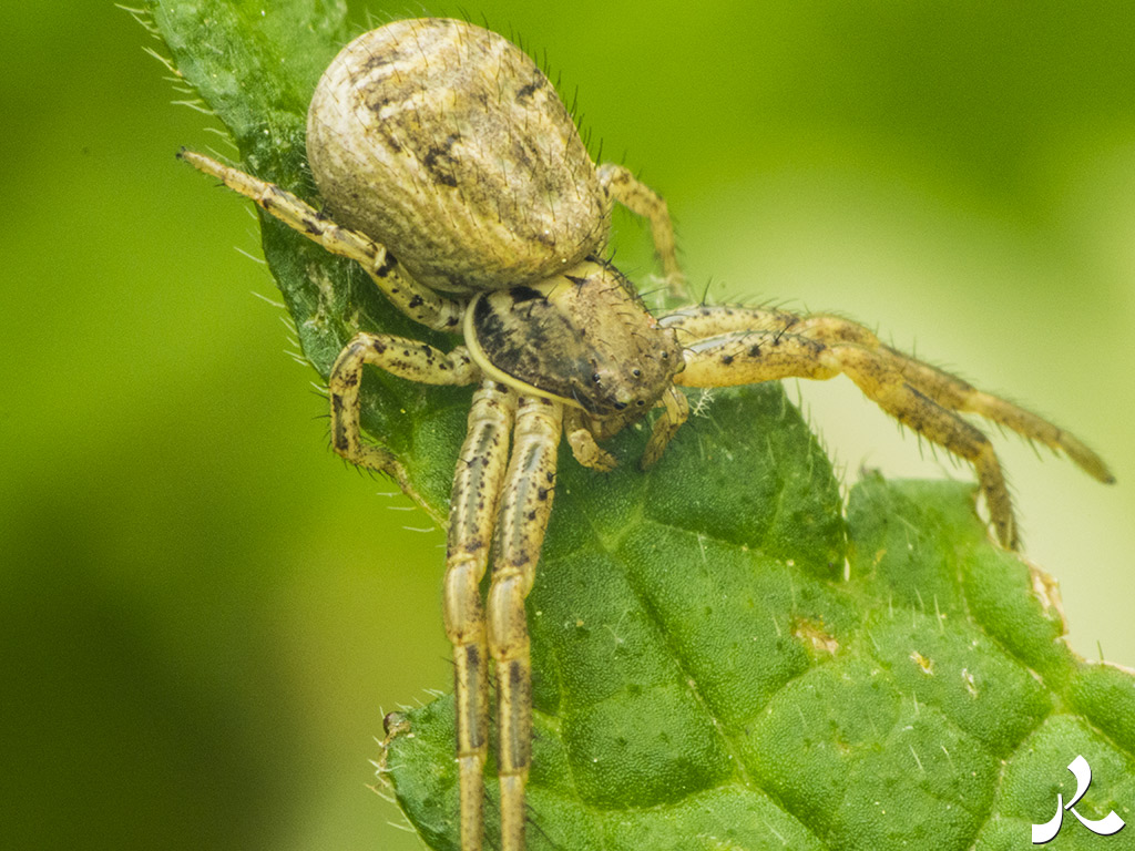 Des images et des maux…