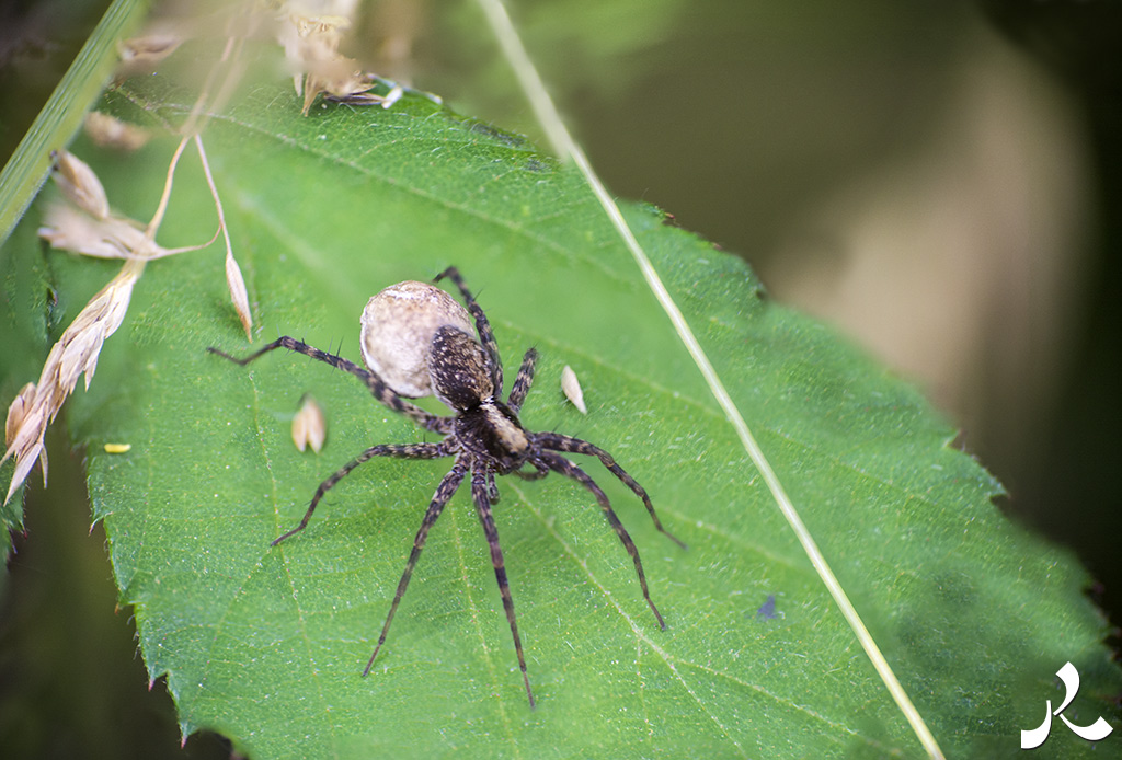 acrostiche sur PORTE 2
