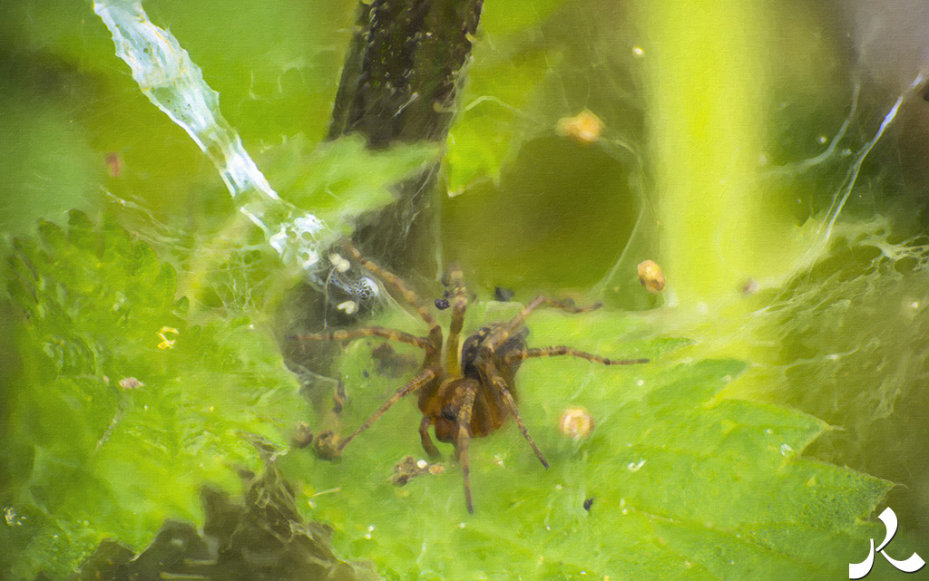 Courrire = courir + rire