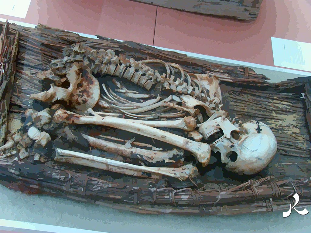 un squelette plié