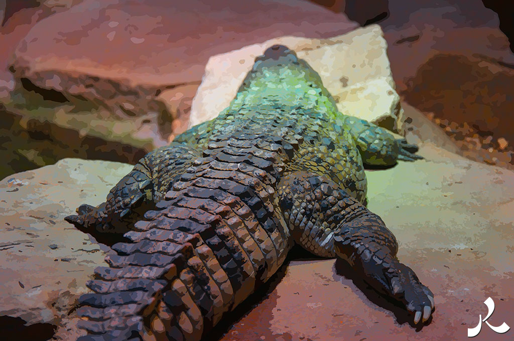 crocodilien