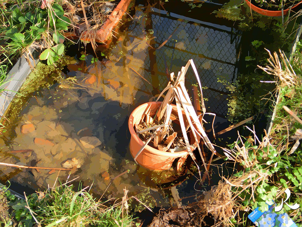 il a plu et l'eau stagne