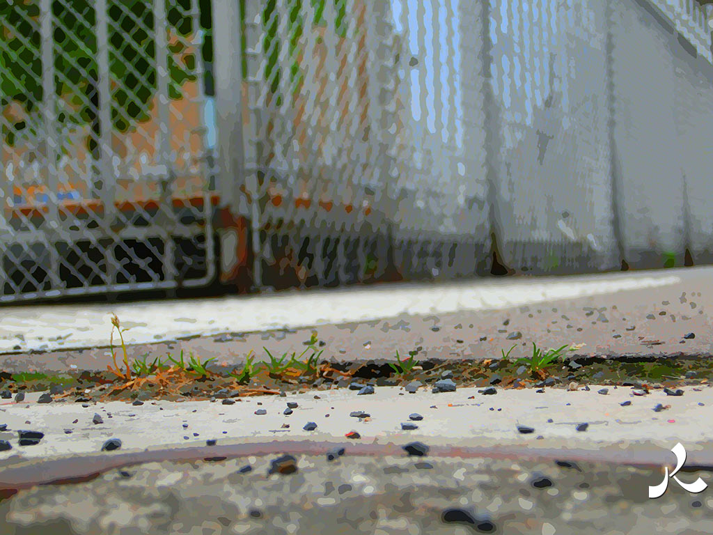 brins d'herbe urbains