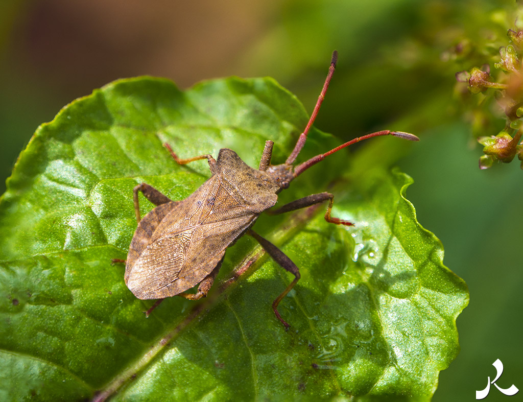 Des images et des maux…